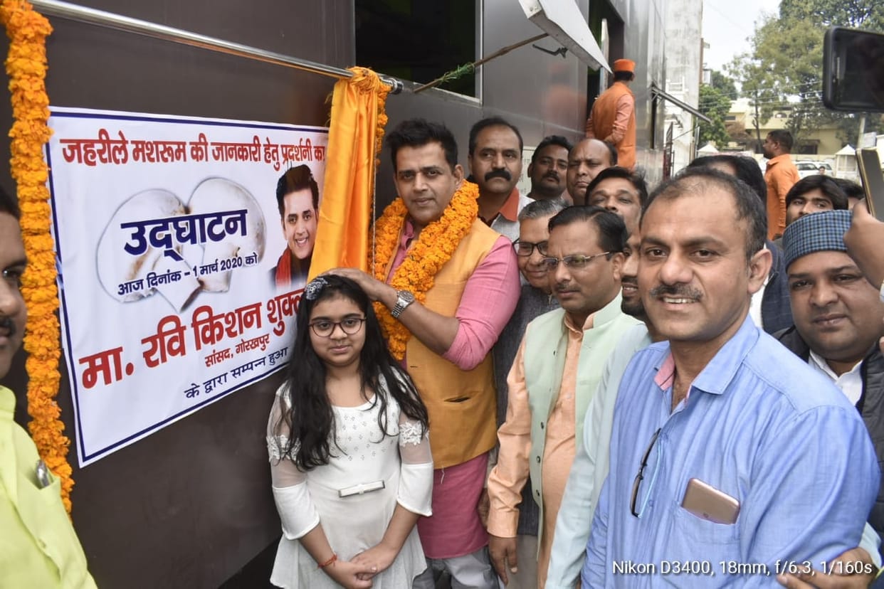 gorakhpur latest news, gorakhpur real time update, gorakhpur 1 martch latest update