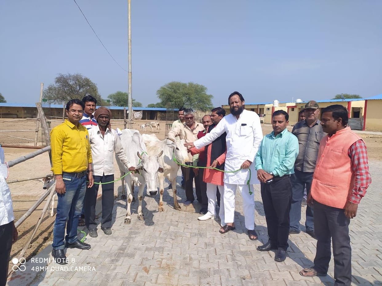 Serve the cow dynasty like children