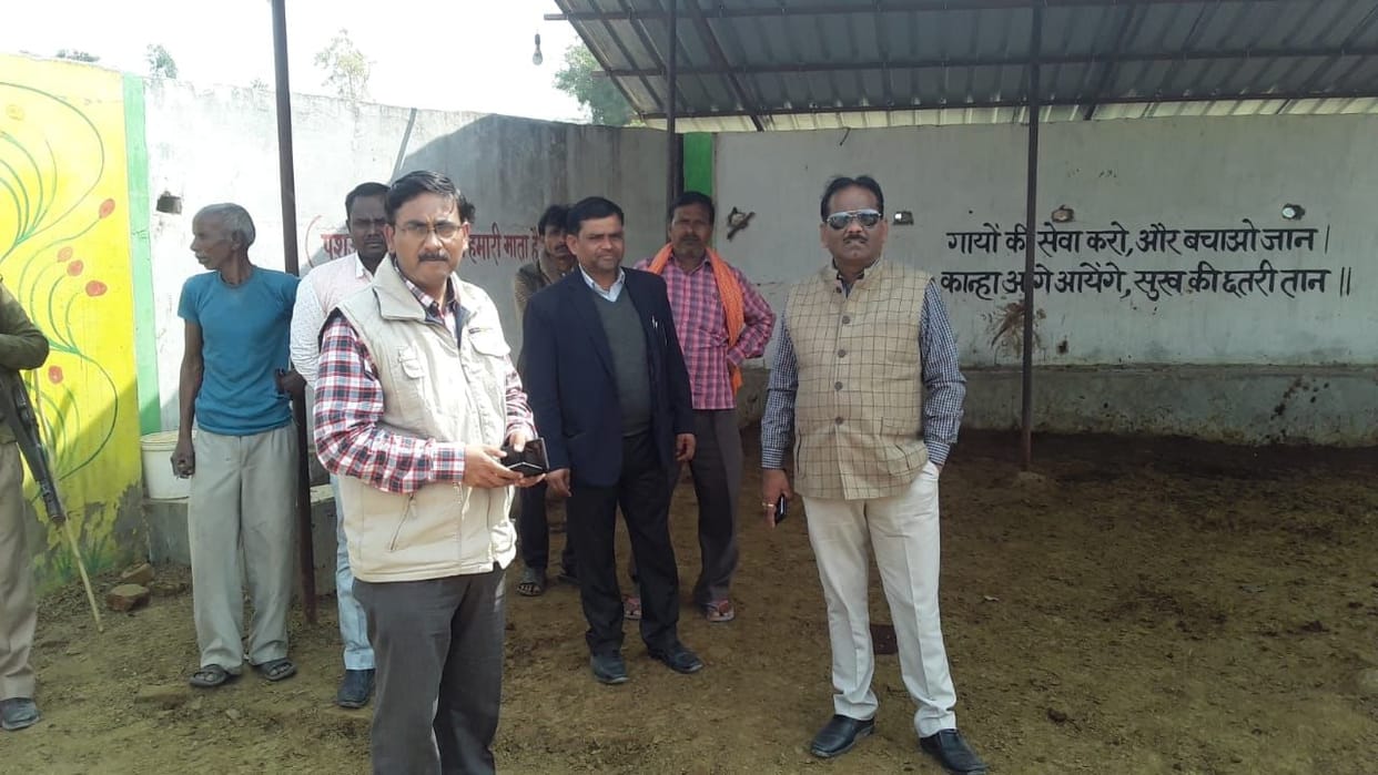 SDM saw the arrangements after reaching the cowshed