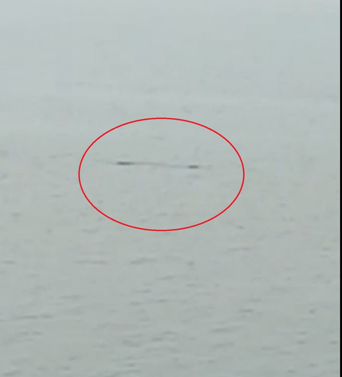 People panic to see crocodile at Rampur Ghat bhadohi