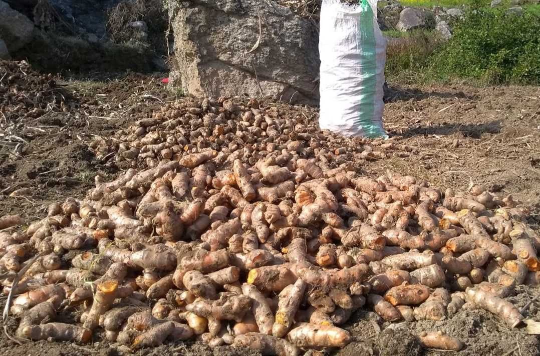 Worked hard and made agriculture a source of income