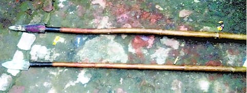 Spear refused to hunt wild pig