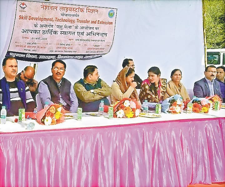 Subodh's cow is the first in indigenous milk