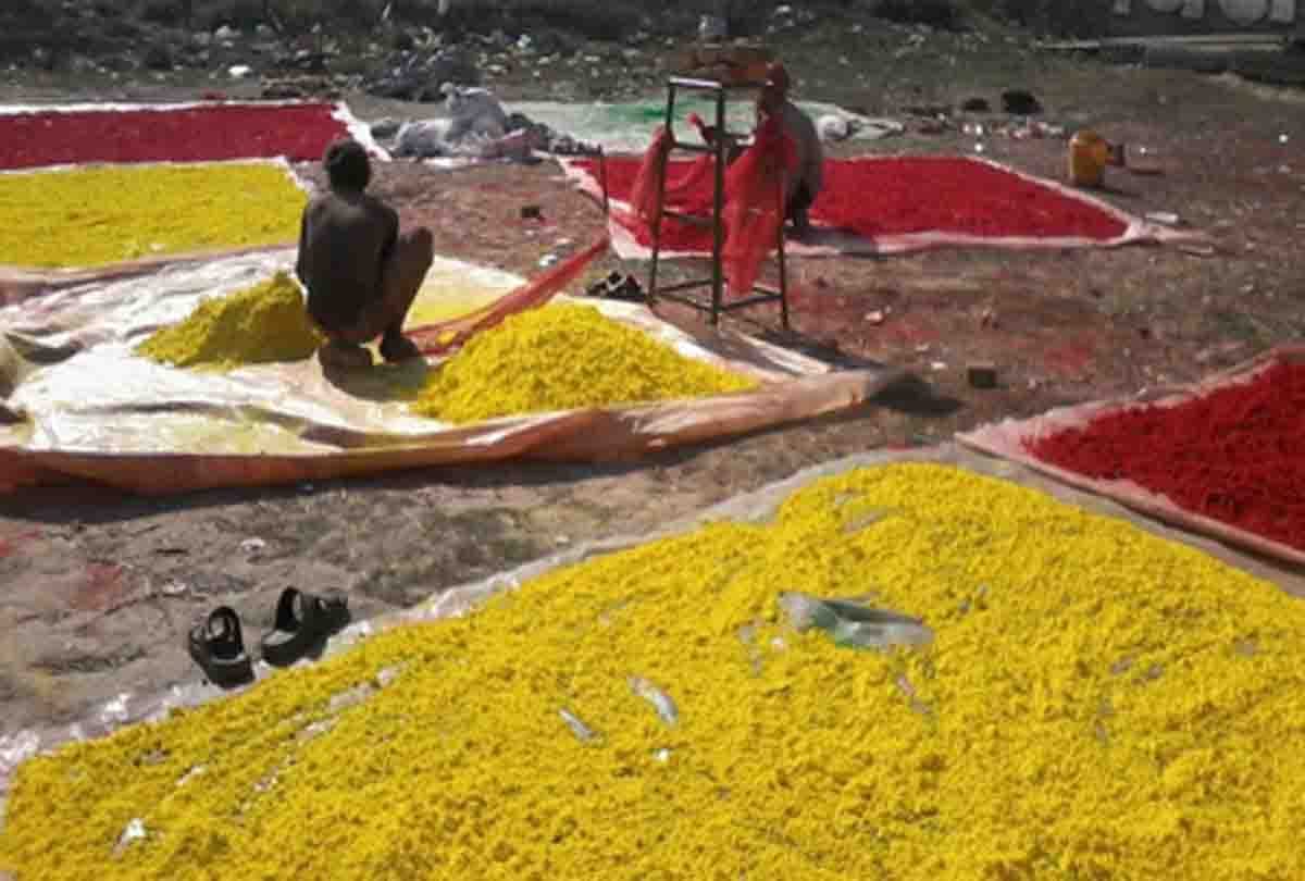 Antu's gulal is gathering color in Barsana's Lathmar Holi