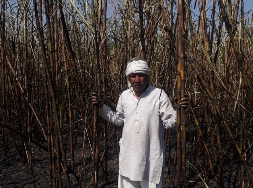 Wire sparks, 20 bigha sugarcane burnt