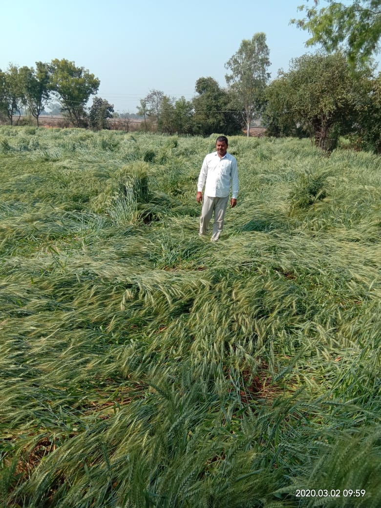 Farmers are demanding loss of crops