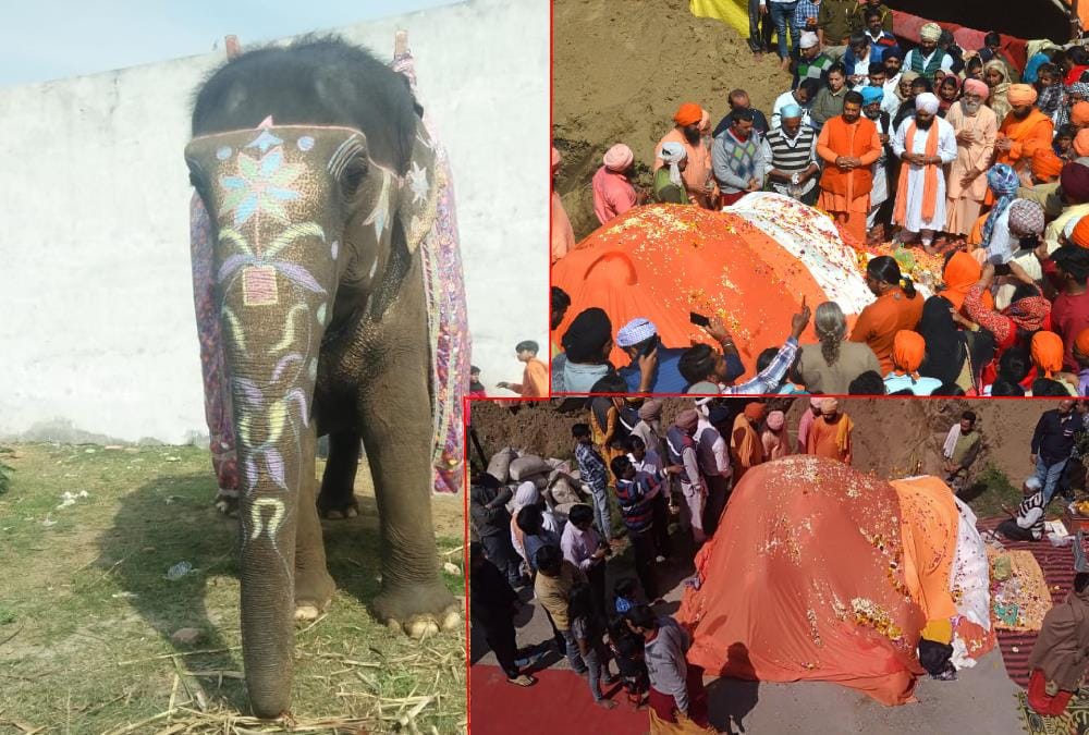 Saints and Mahavat crying on 80 year old Elephant Pawanakali Bhu Samadhi ceremony