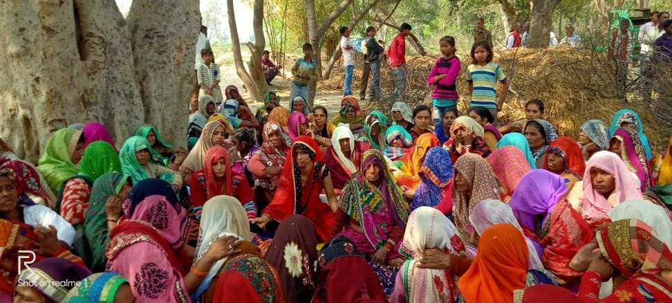saand ke hamale se vrddh kisaan kee maut