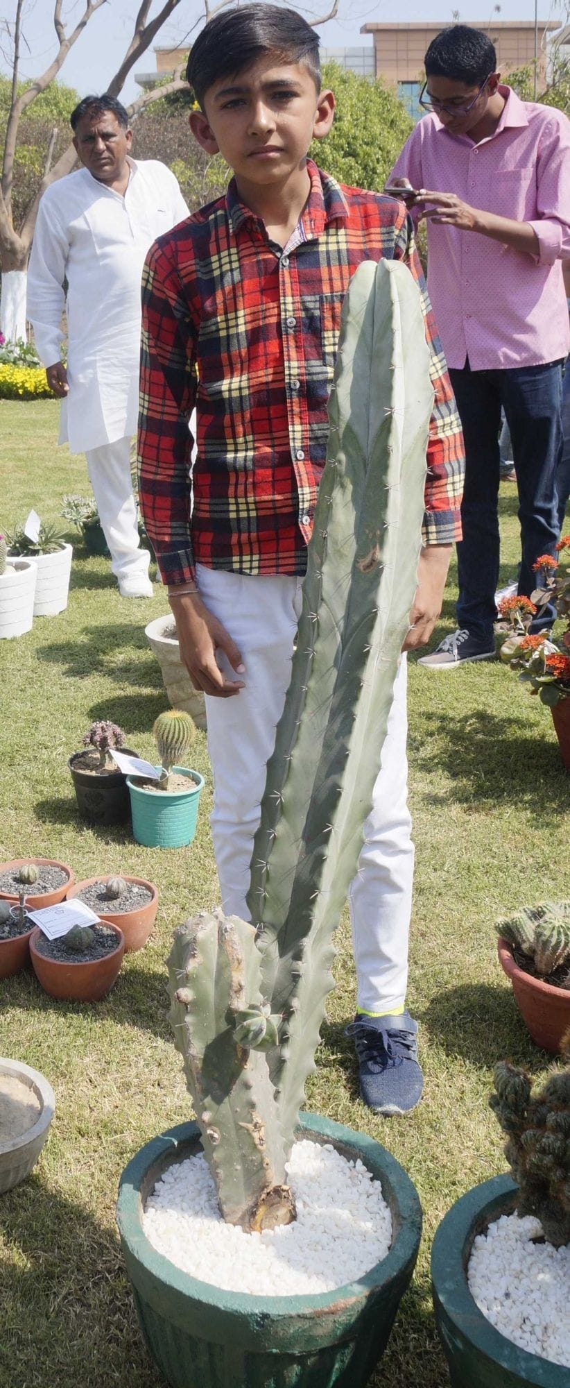 12-year lakshya care of cactus for five years