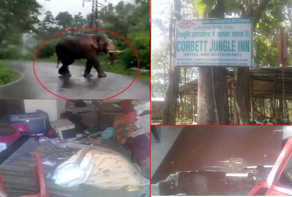 Group Of Elephant Demolition Resort property in Ramnagar, See Photos