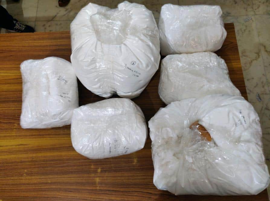 Dia Mirza ex manager Rahila Furniturewala sent to 14 day judicial custody in drugs case