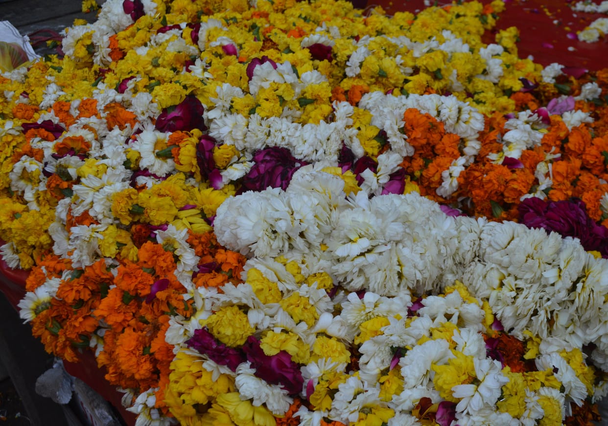 Hathras: 35 quintals of flowers to be consumed on Holi, increased rate