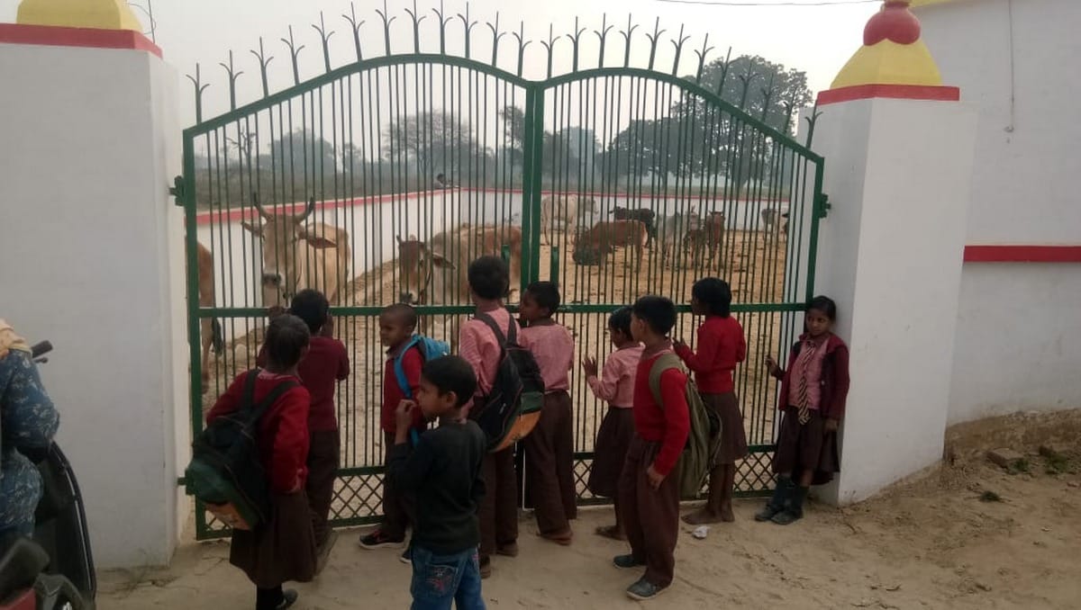 Himachal Pradesh School reopen date postponed due to surge of covid-19