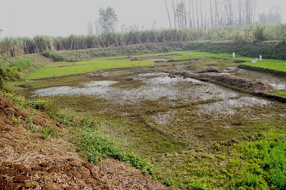Mahabharata Circuit: Kanch pond where Pandavas lost Draupadi gambling with Kauravas