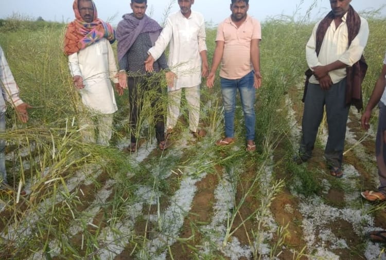 Unseasonal rain, hailstorm destroys crops in Haryana