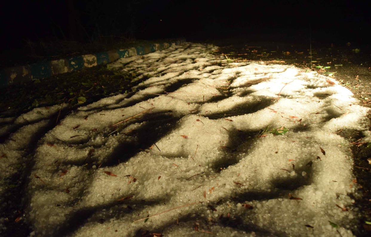 35.6 km per hour wind and 30.4 mm rain with hail storm came as a shock to the farmers