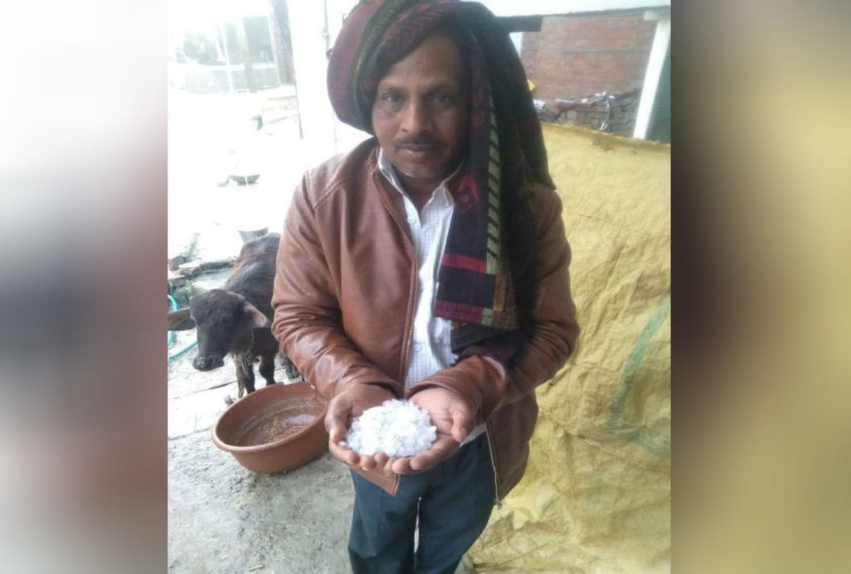 Rain And Ole Hits Mainpuri Farmers Panic For Crop