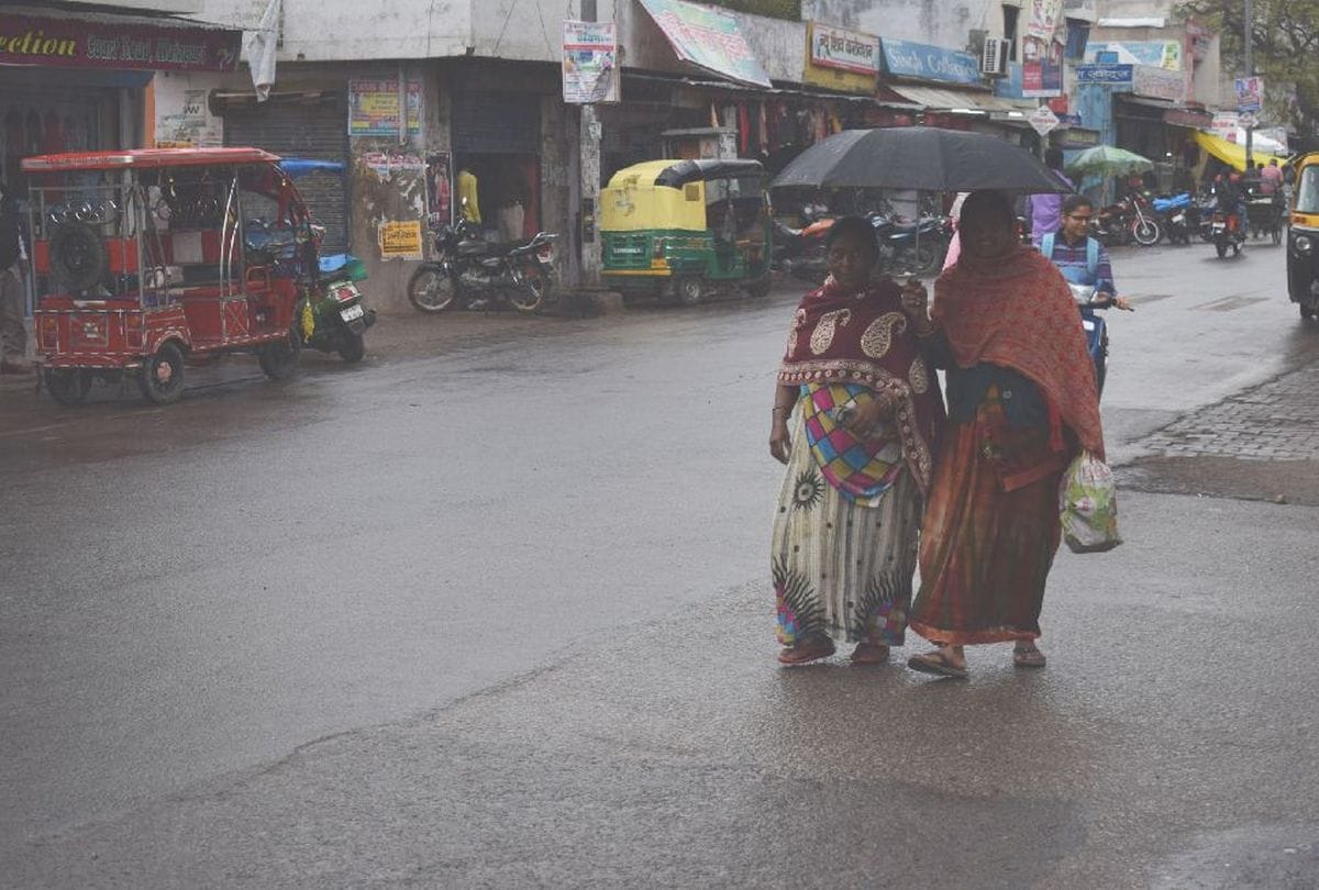Rain And Ole Hits Mainpuri Farmers Panic For Crop