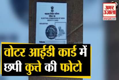 MAN ISSUED VOTER ID CARD WITH DOG’S PICTURE IN WB’S MURSHIDABAD