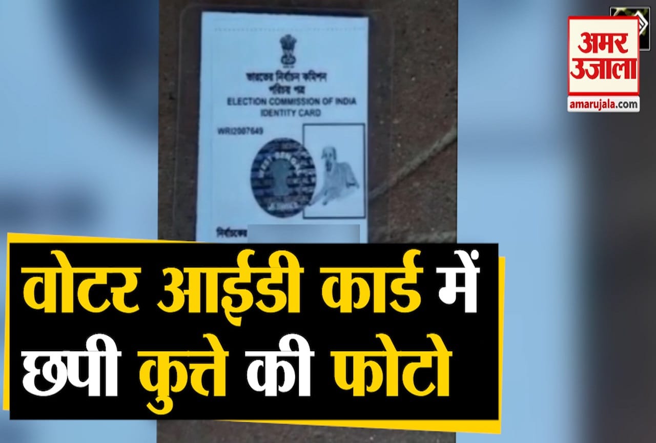 वोटर आई डी