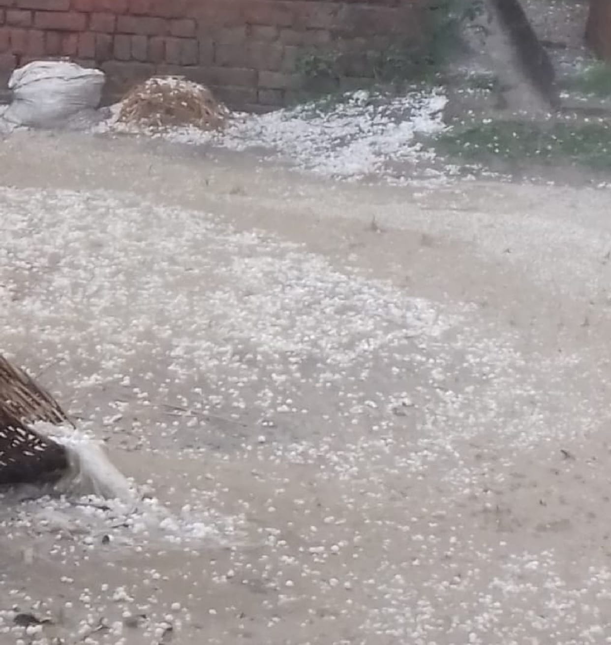 Rain in Bahraich
