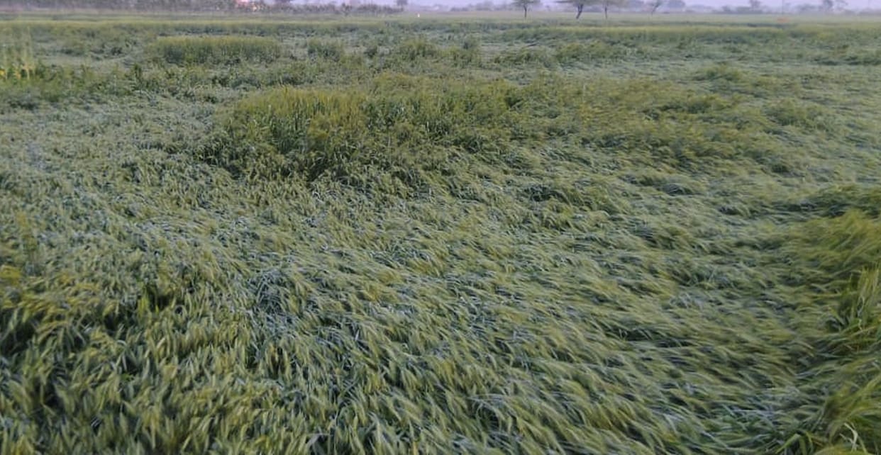 havy raininy in mainpuri