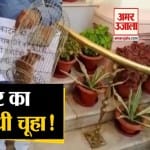 बिहार