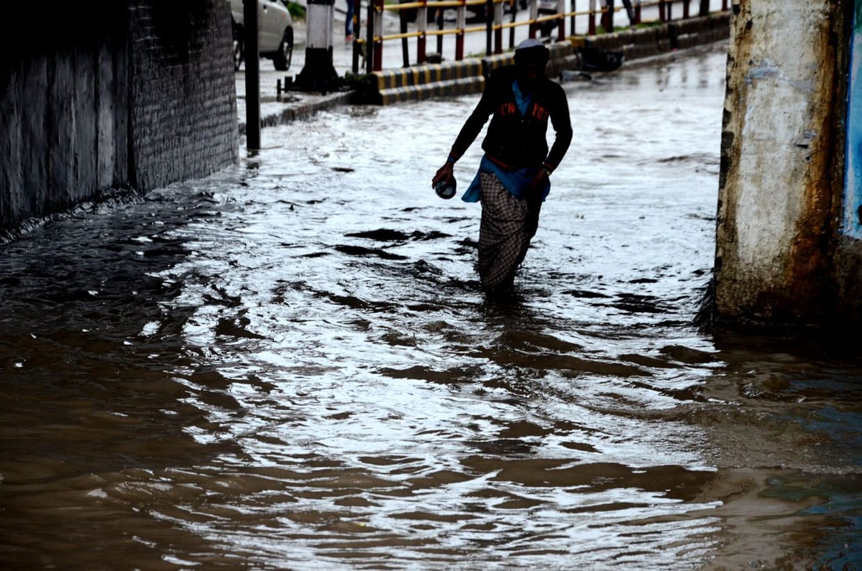 Farmers damaged wheat, mustard, cabbage, pea crops due to rain
