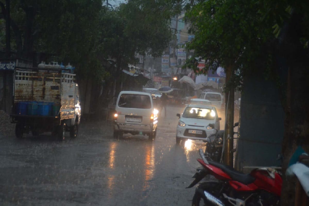 Rainfall has damaged many crops in Baghpat district of western UP