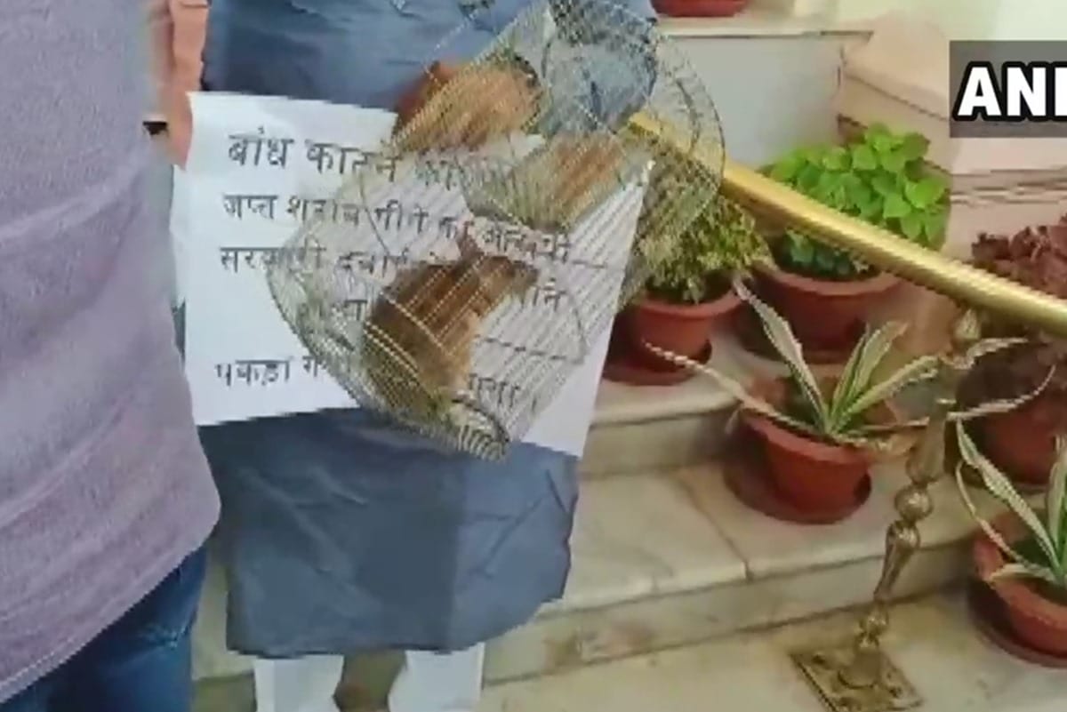 MLAs of RJD brought mouse today at state Assembly, rabri devi says give appropriate punishment to it