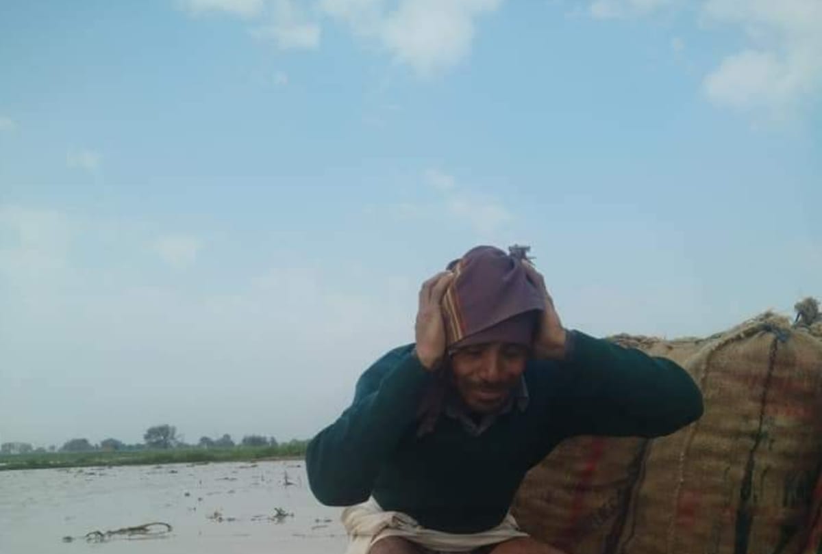 Millions of hectares of crop wasted in North India due to unseasonal rains and hailstorm