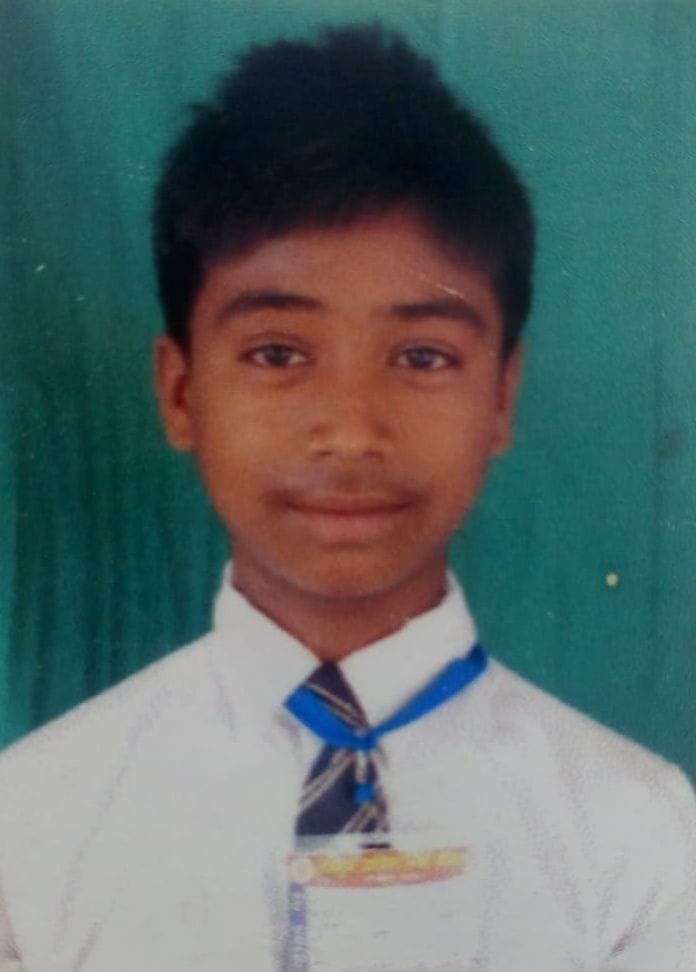 Tree fell on student during illegal harvesting, death