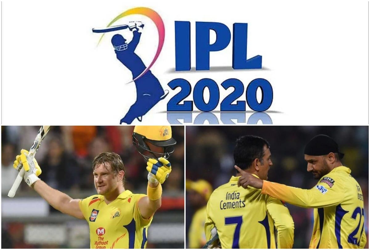 IPL 2020, IPL may be play with 50 percent in uae