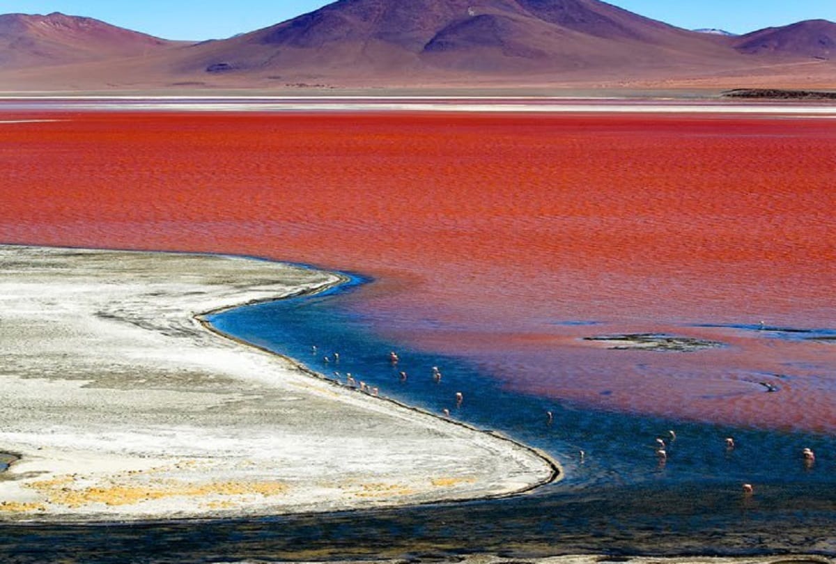 Worlds largest salt field Salar de Uyuni in southwest Bolivia