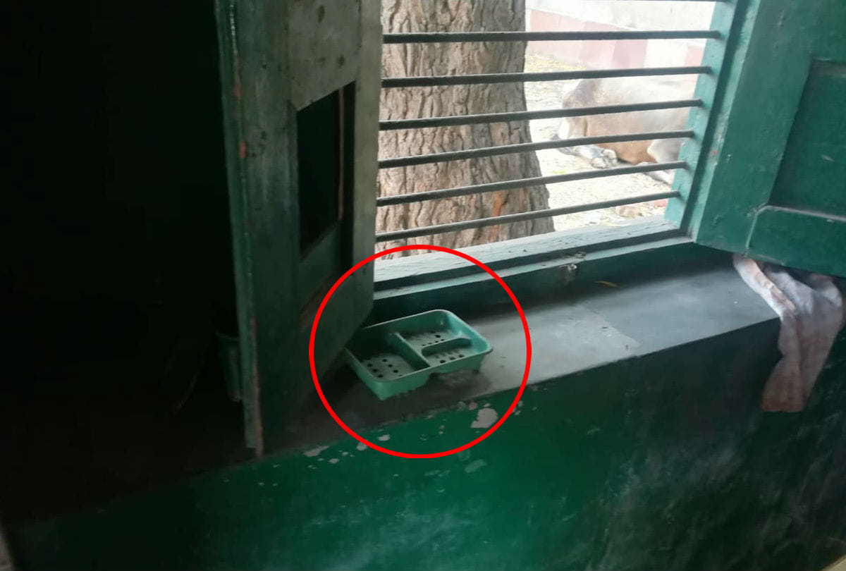 CoronaVirus No Sanitation In Primary Schools Of Agra District