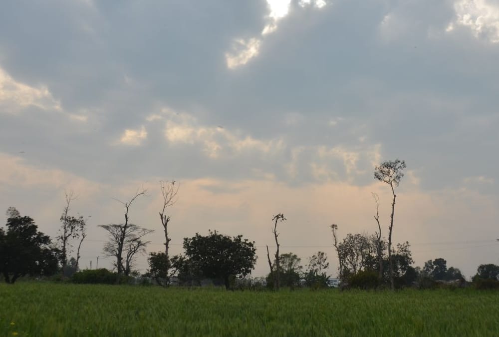 Weather's Utern, light rain may occur even today