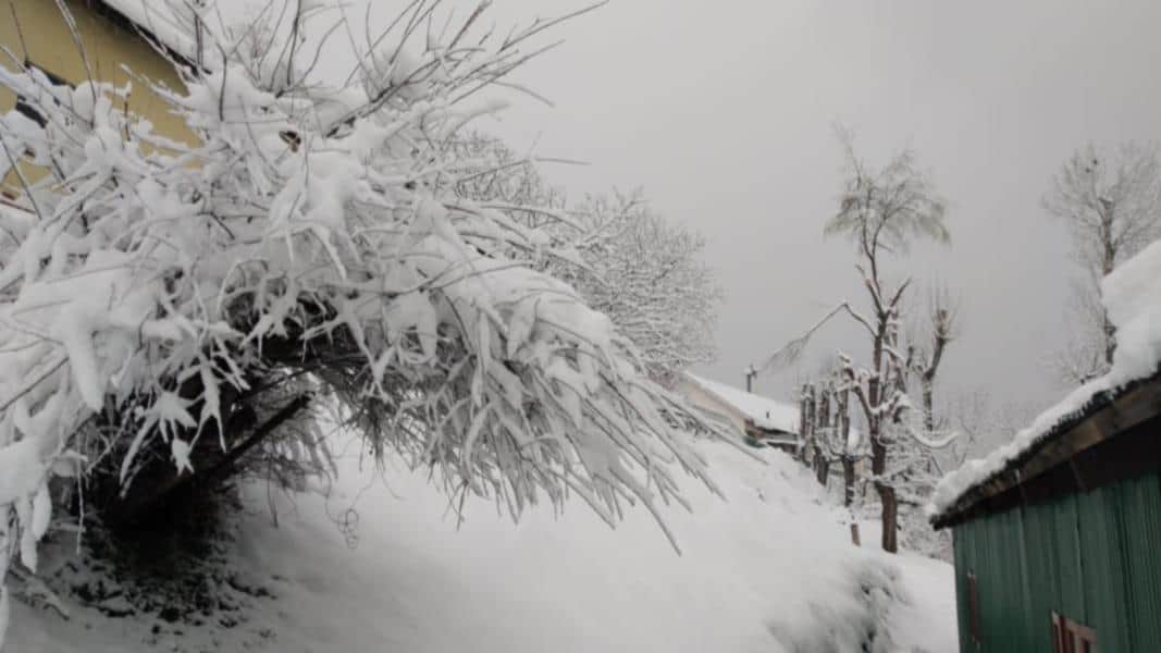 Auli: In March snow-covered peaks seems very beautiful