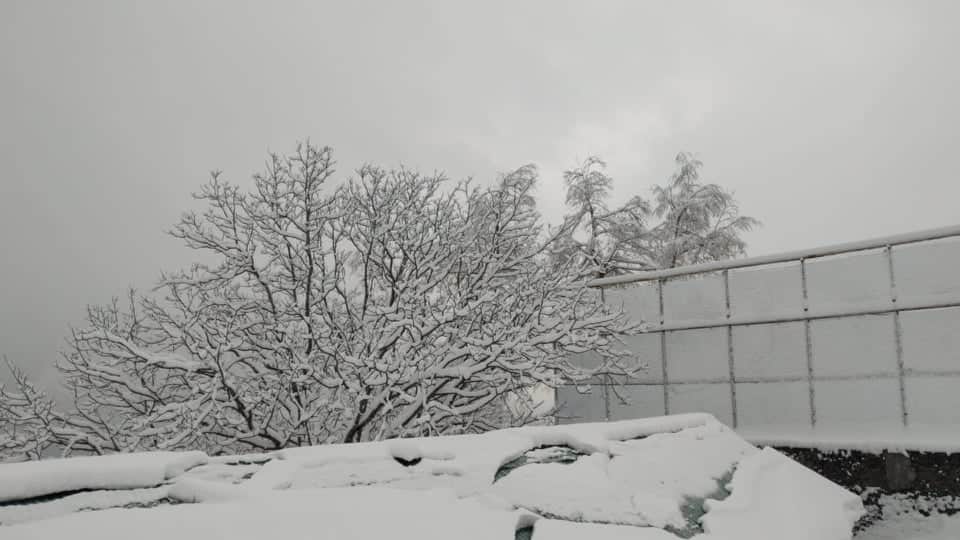 Auli: In March snow-covered peaks seems very beautiful