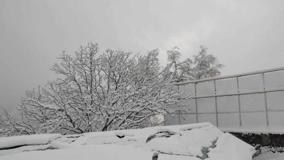Auli: In March snow-covered peaks seems very beautiful