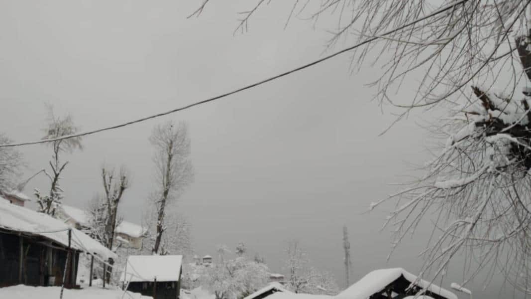 Auli: In March snow-covered peaks seems very beautiful