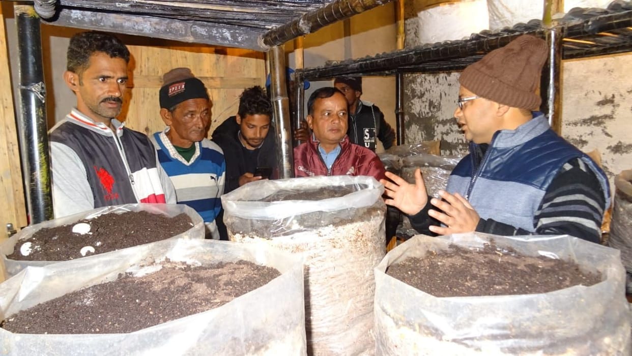 Mashroom Production