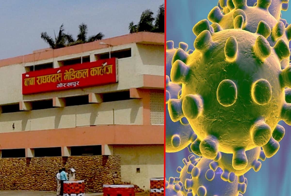 Corona and swine flu will be tested with same sample in BRD Gorakhpur