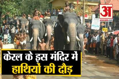 annual elephant race was held at Guruvayoor Temple in Thrissur