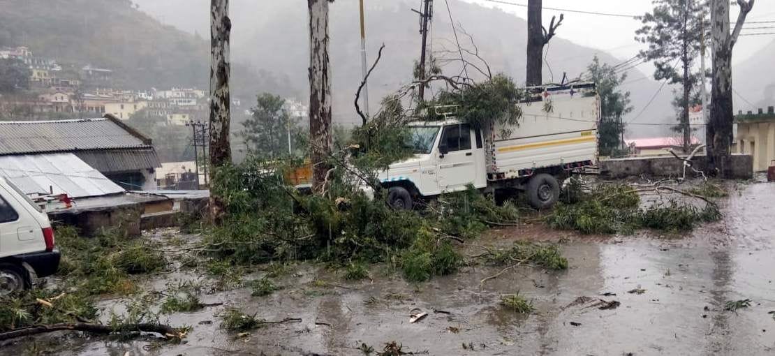 Supply stopped for four hours as the branch fell on the power line