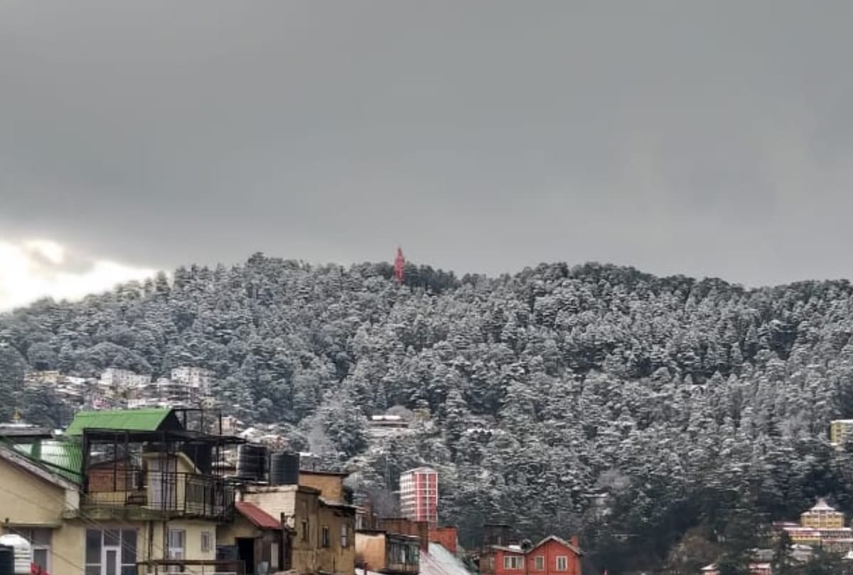 fresh snowfall in shimla manali kullu rohtang today