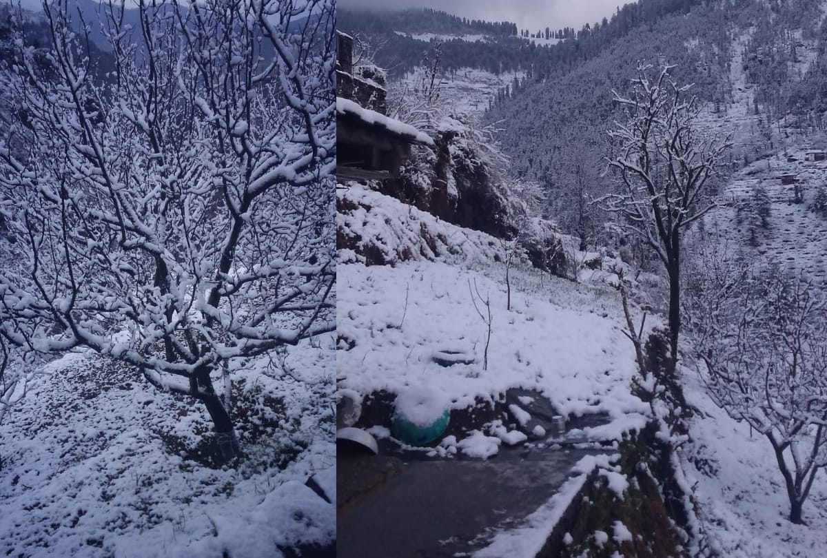 fresh snowfall in shimla manali kullu rohtang today