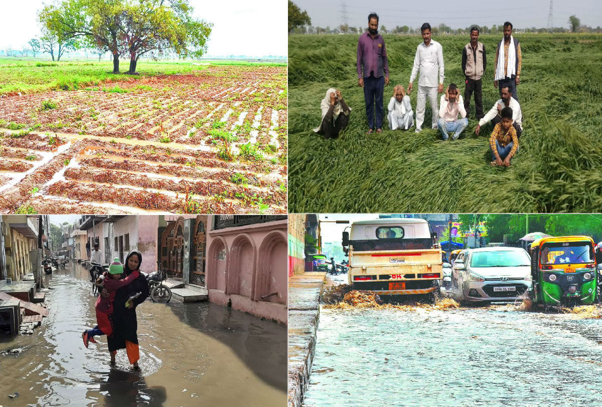 crops damaged due to rain and hail in Agra division