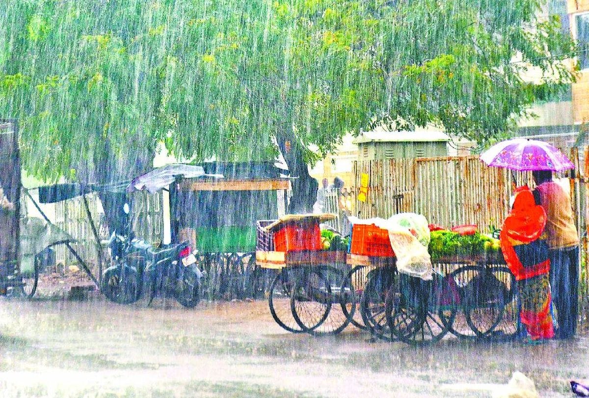 crops damaged due to rain and hail in Agra division