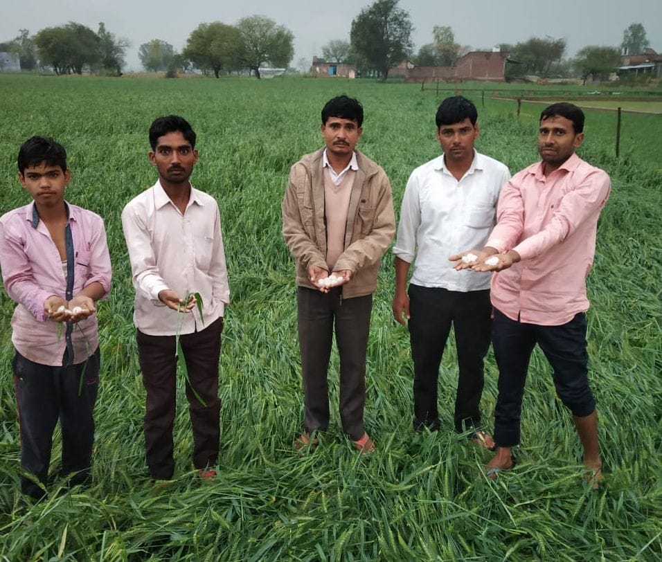 kanpur dehat rain