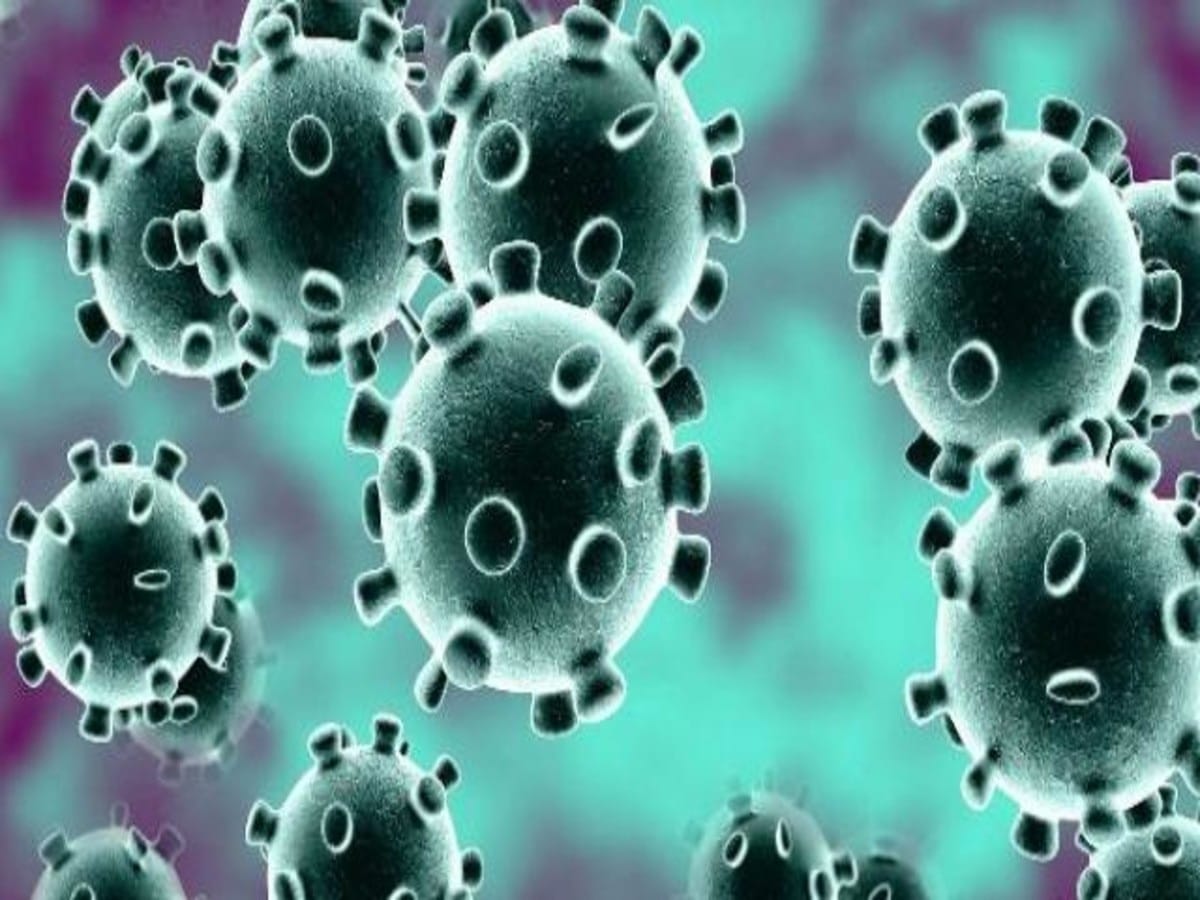 Corona virus breaks in Ramnagar